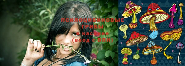 альфа пвп Лабытнанги