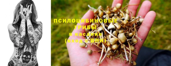 мдма Лагань
