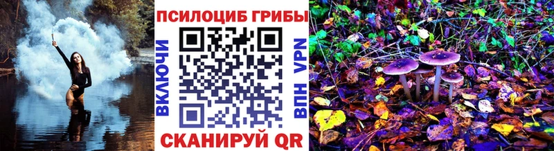 Купить  Анапа  Псилоцибиновые грибы Psilocybine cubensis 