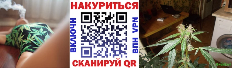 Купить где  Анапа  Конопля Bruce Banner 